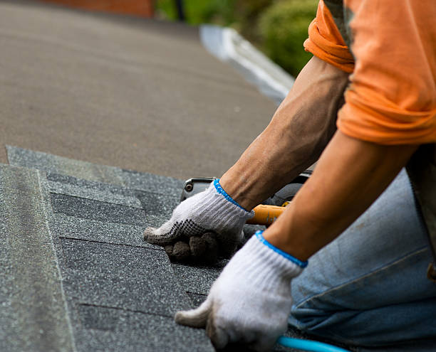 Best Shingle Roofing Installation  in Orleans, VT